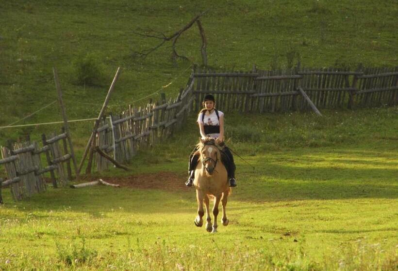 פנסיון Szakál Vendégház