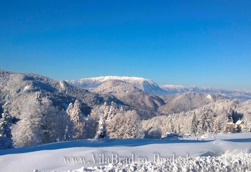 ペンション Vila Brad