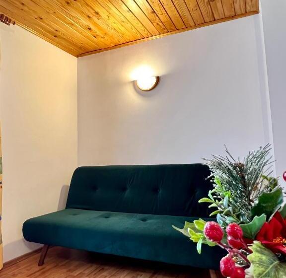 ペンション Vila Brad