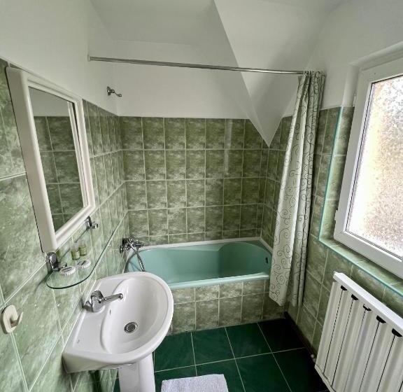 ペンション Vila Brad