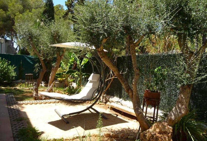 Apartamentos Osa Menor