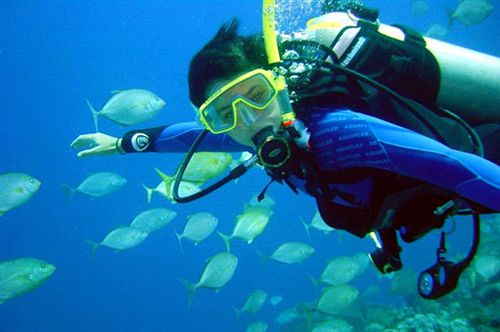 ホテル Alam Asmara Dive Resort