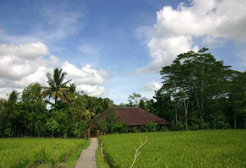 酒店 Ananda Ubud Resort