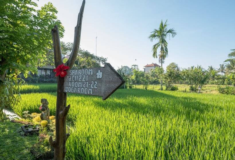 酒店 Ananda Ubud Resort