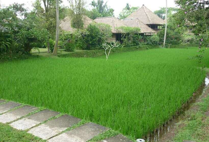 酒店 Ananda Ubud Resort