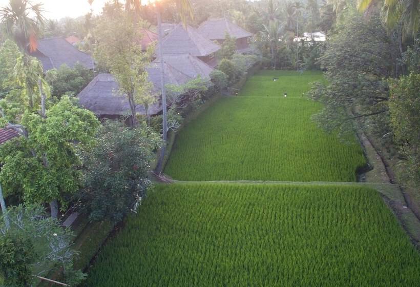 酒店 Ananda Ubud Resort
