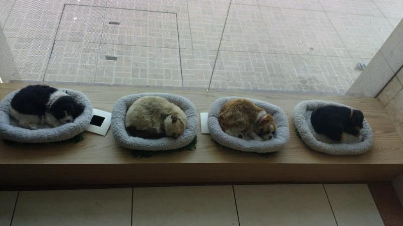 Отель Aton Plaza