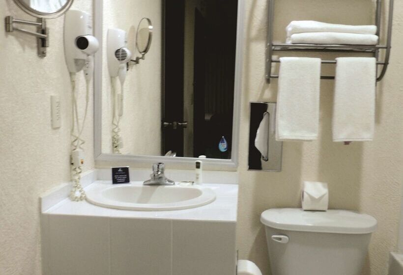 Hotel Best Western Real Tula Express