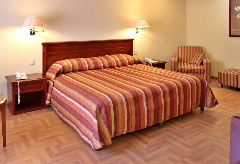 ホテル Tehuacan Casa Real