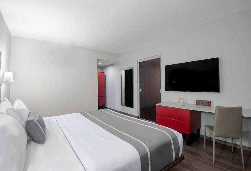 فندق City Express Plus By Marriott Ciudad De México Insurgentes Sur