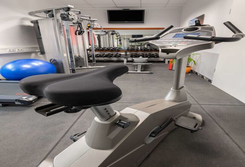 هتل City South Berlin