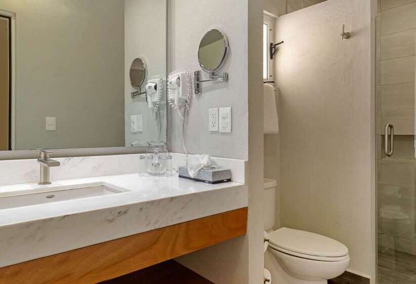 בית מלון כפרי Comfort Inn Monterrey Valle