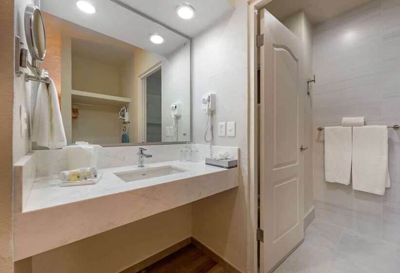 ホテル Comfort Inn Monterrey Valle