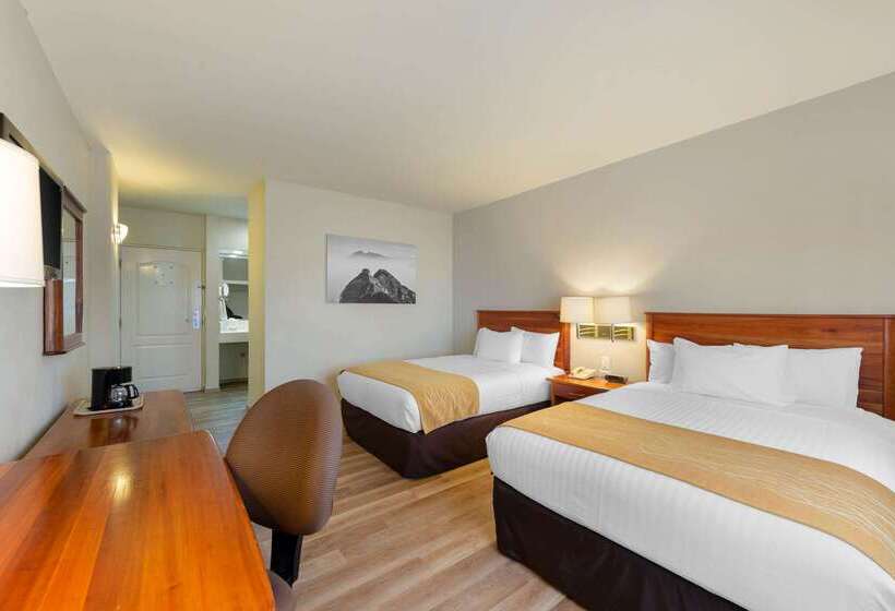 ホテル Comfort Inn Monterrey Valle