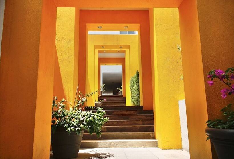 ホテル Comfort Inn Monterrey Valle