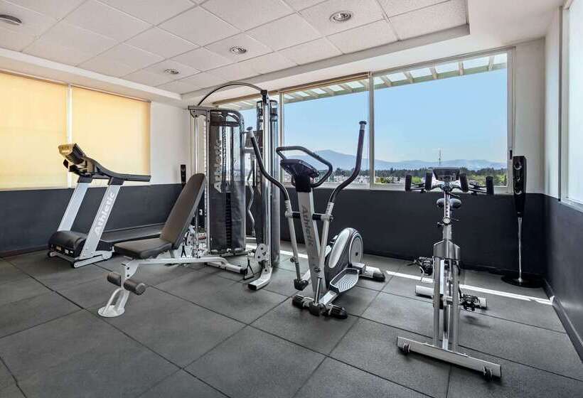 酒店 Comfort Inn Morelia