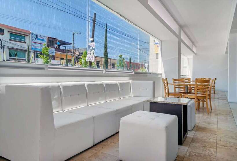 酒店 Comfort Inn Morelia