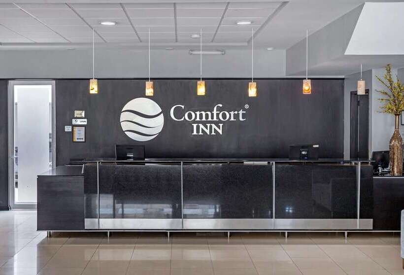 酒店 Comfort Inn Morelia