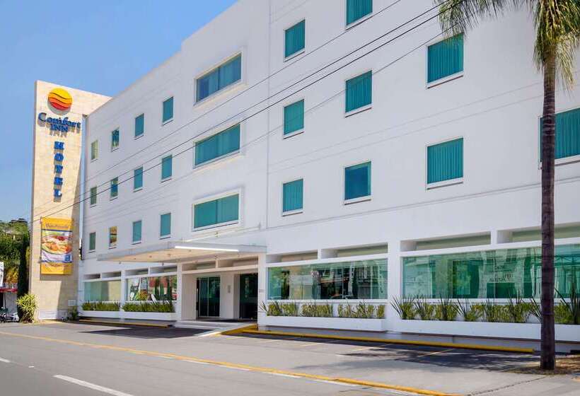 酒店 Comfort Inn Morelia