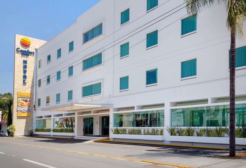酒店 Comfort Inn Morelia