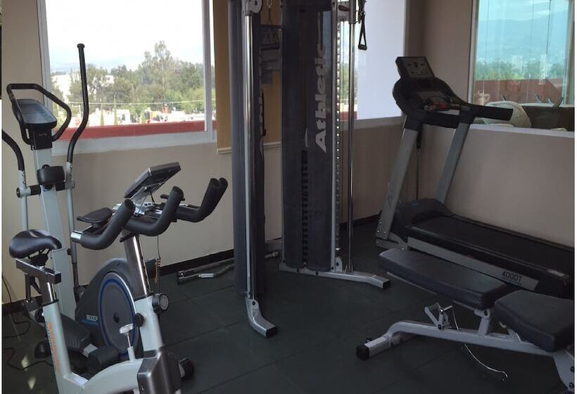 酒店 Comfort Inn Morelia