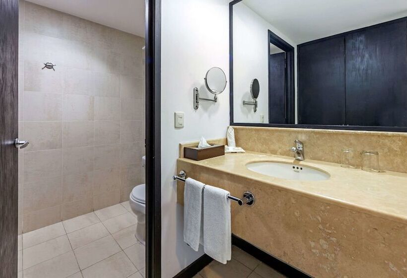 酒店 Comfort Inn Morelia