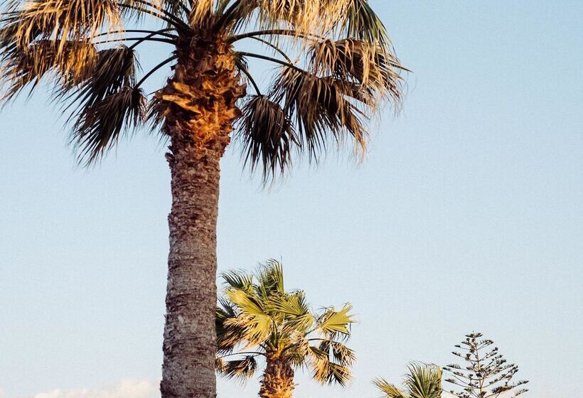 Phāea Cretan Malia, A Member Of Design Hotels