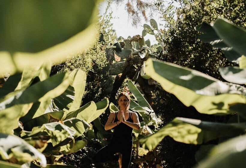 Phāea Cretan Malia, A Member Of Design Hotels