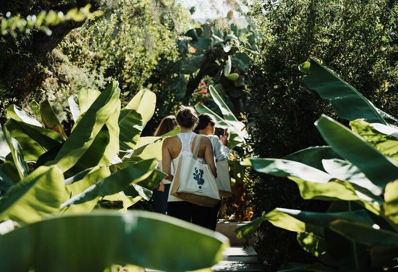 Phāea Cretan Malia, A Member Of Design Hotels