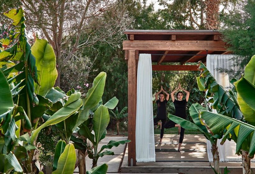 Phāea Cretan Malia, A Member Of Design Hotels