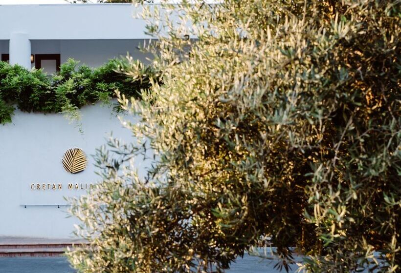Phāea Cretan Malia, A Member Of Design Hotels