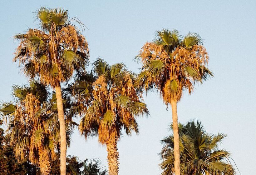 Phāea Cretan Malia, A Member Of Design Hotels