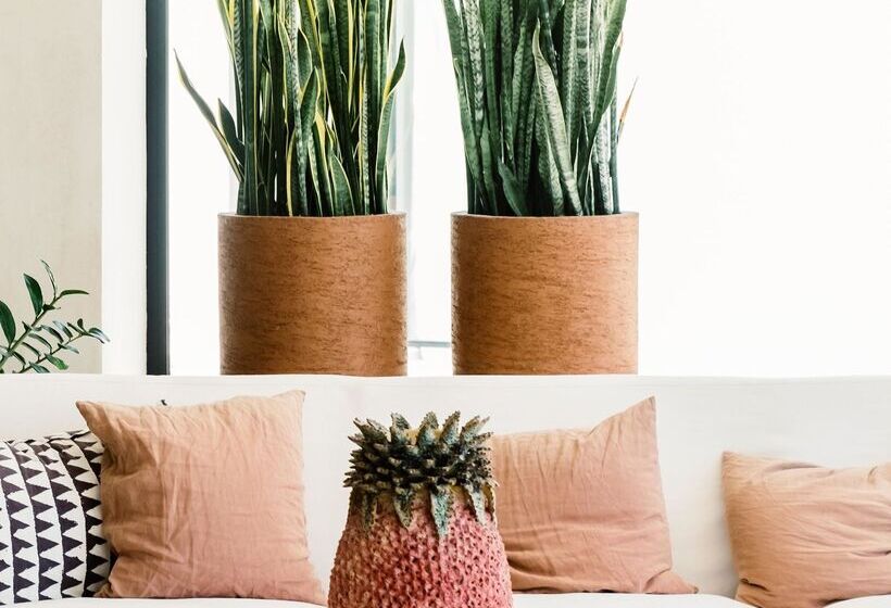 Phāea Cretan Malia, A Member Of Design Hotels