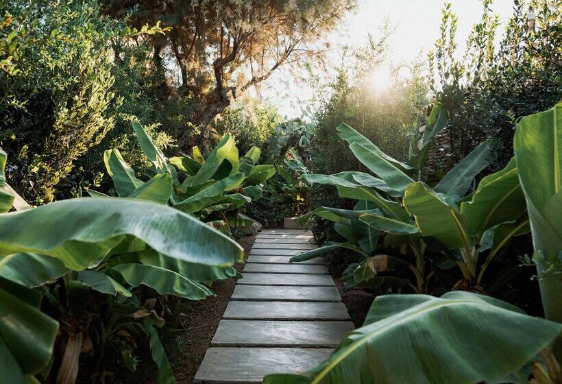 Phāea Cretan Malia, A Member Of Design Hotels