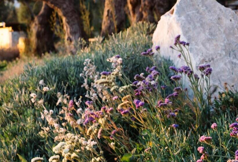 Phāea Cretan Malia, A Member Of Design Hotels