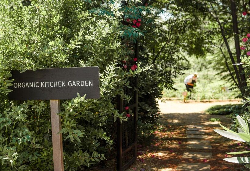 Phāea Cretan Malia, A Member Of Design Hotels