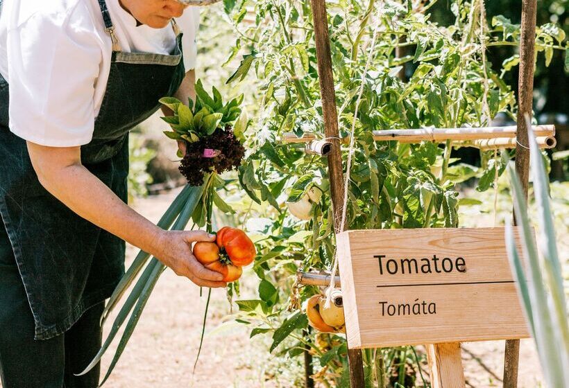 Phāea Cretan Malia, A Member Of Design Hotels