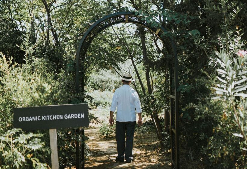 Phāea Cretan Malia, A Member Of Design Hotels