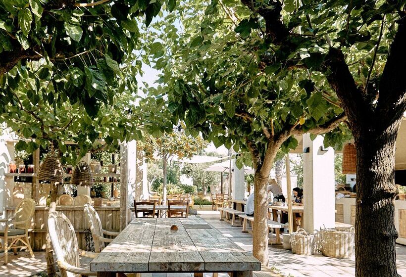 Phāea Cretan Malia, A Member Of Design Hotels