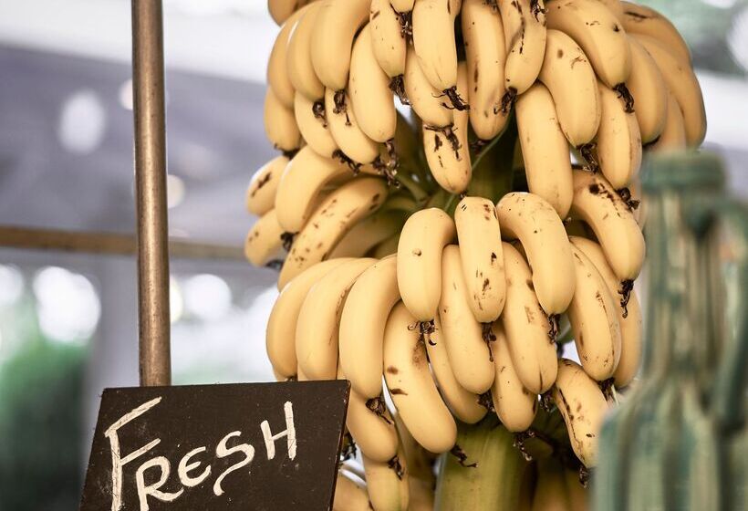 Phāea Cretan Malia, A Member Of Design Hotels