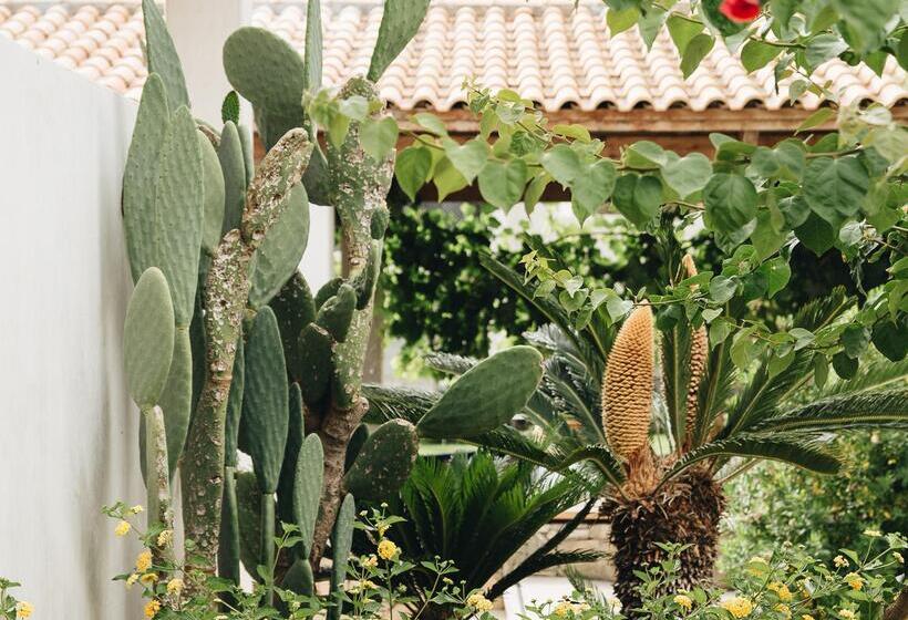 Phāea Cretan Malia, A Member Of Design Hotels