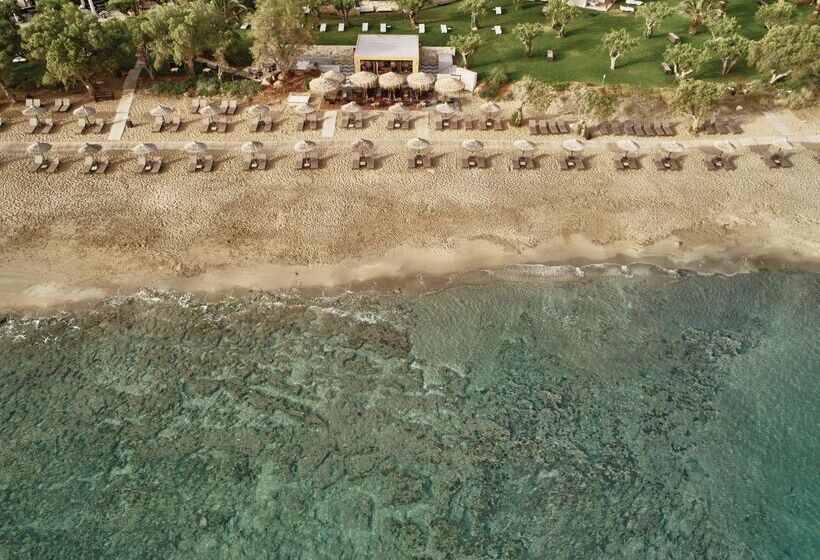 Phāea Cretan Malia, A Member Of Design Hotels