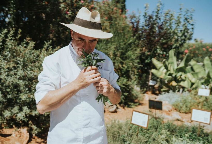 Phāea Cretan Malia, A Member Of Design Hotels