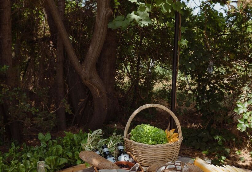 Phāea Cretan Malia, A Member Of Design Hotels