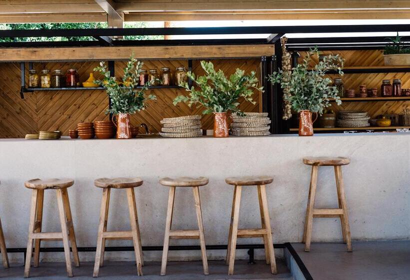 Phāea Cretan Malia, A Member Of Design Hotels