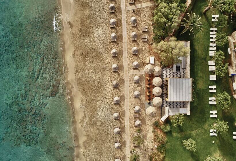 Phāea Cretan Malia, A Member Of Design Hotels