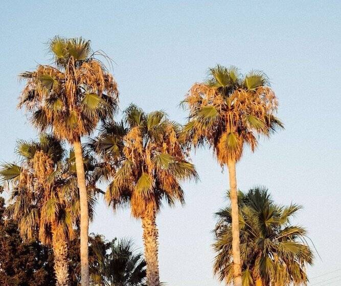 Phāea Cretan Malia, A Member Of Design Hotels