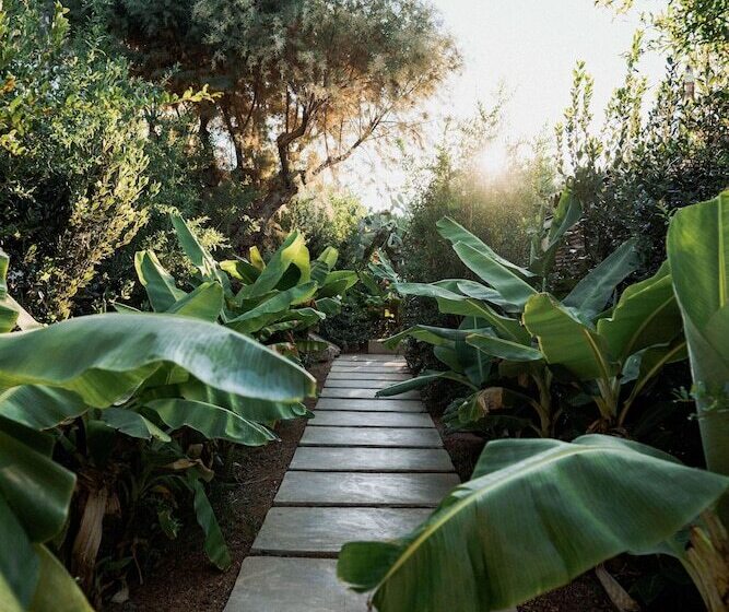 Phāea Cretan Malia, A Member Of Design Hotels