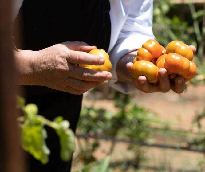 Phāea Cretan Malia, A Member Of Design Hotels