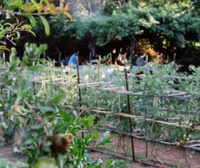 Phāea Cretan Malia, A Member Of Design Hotels